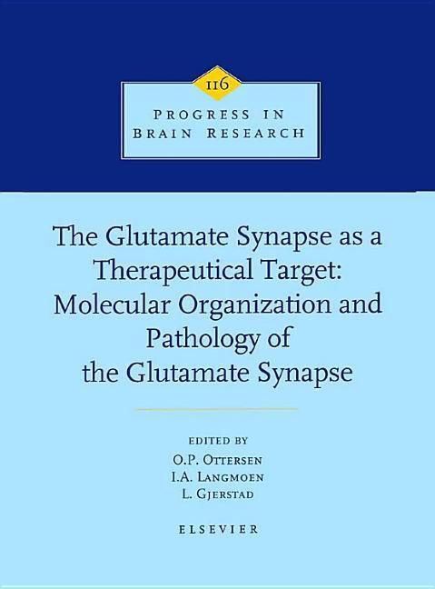 Produktbild: The Glutamate Synapse as a Therapeutic Target