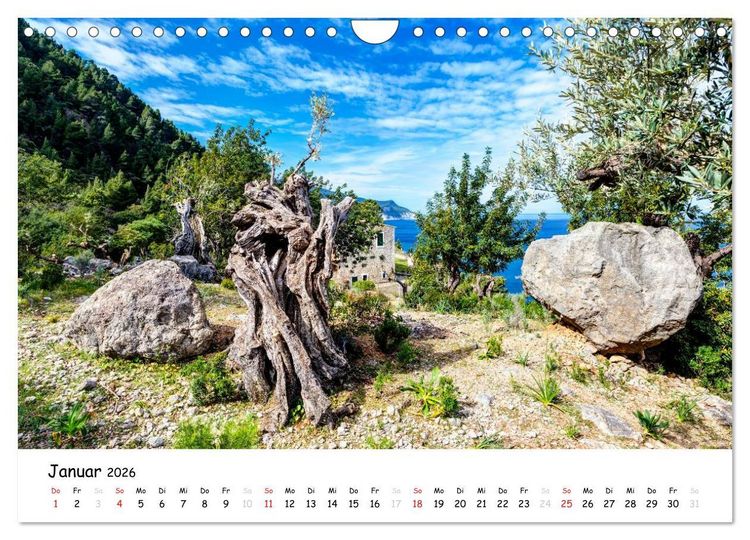 Produktbild: Wildes und romantisches Mallorca (Wandkalender 2026 DIN A4 quer), CALVENDO Monatskalender