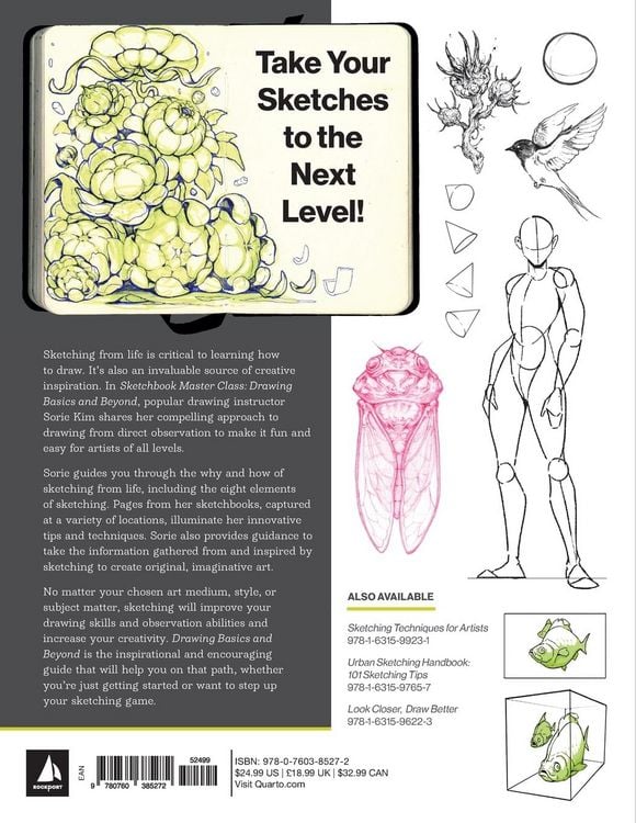 Produktbild: Drawing Basics and Beyond