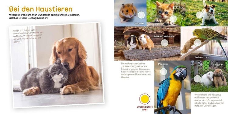 Produktbild: Mein gro&szlig;es Soundbuch - So klingen die Tiere