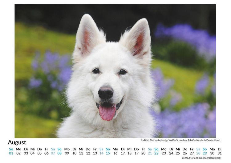 Produktbild: Berger Blanc Suisse