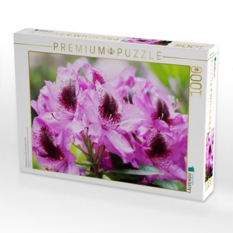 Produktbild: CALVENDO Puzzle Rhododendron in Pink mit dunklem Fleck | 1000 Teile Lege-Gr&ouml;&szlig;e 64x48cm Foto-Puzzle f&uuml;r gl&uuml;ckliche Stunden