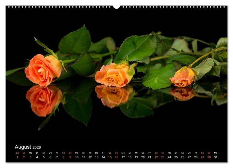Produktbild: Ver&auml;ndertes (Wandkalender 2026 DIN A2 quer), CALVENDO Monatskalender