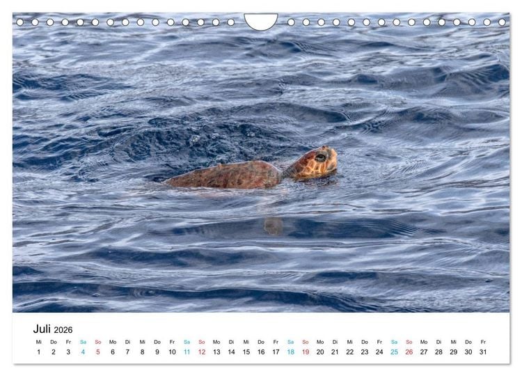 Produktbild: La Palma - La Isla Bonita, die Sch&ouml;nste der Kanaren (Wandkalender 2026 DIN A4 quer), CALVENDO Monatskalender