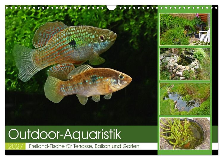 Produktbild: Outdoor-Aquaristik (Wandkalender 2027 DIN A3 quer), CALVENDO Monatskalender