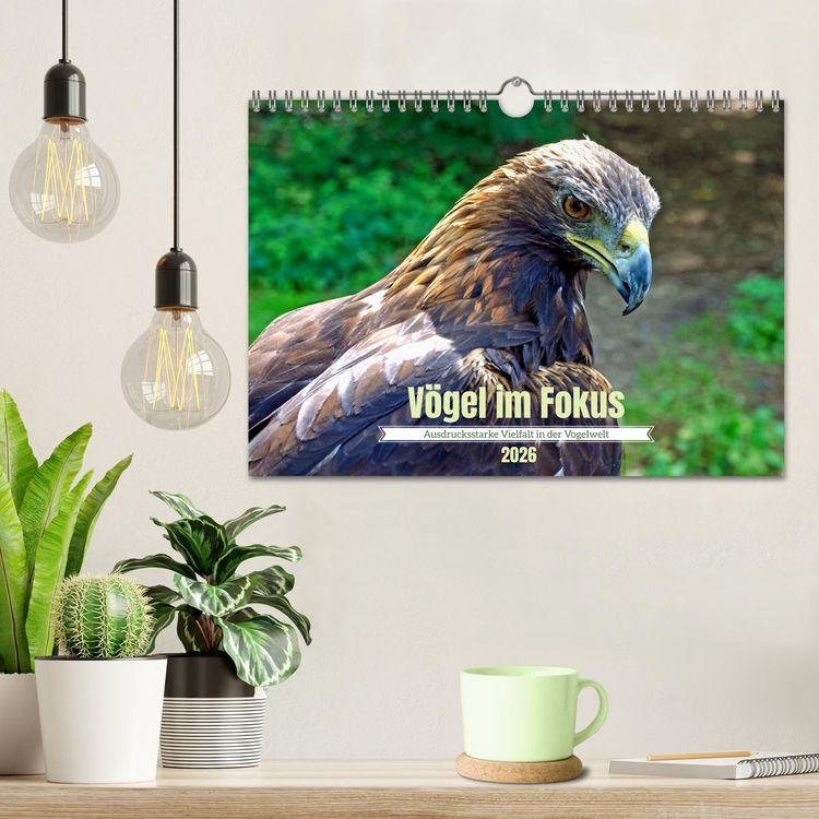 Produktbild: V&ouml;gel im Fokus - Ausdrucksstarke Vielfalt in der Vogelwelt (Wandkalender 2026 DIN A4 quer), CALVENDO Monatskalender