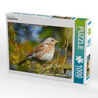 Produktbild: CALVENDO Puzzle Vogelkalender 1000 Teile Lege-Gr&ouml;&szlig;e 64 x 48 cm Foto-Puzzle Bild von Fofino