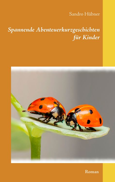 Produktbild: Spannende Abenteuerkurzgeschichten f&uuml;r Kinder
