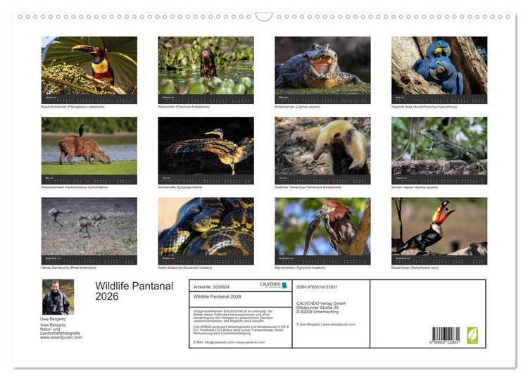 Produktbild: Wildlife Pantanal 2026 (Wandkalender 2026 DIN A2 quer), CALVENDO Monatskalender