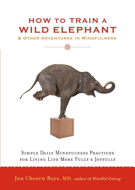 Produktbild: How to Train a Wild Elephant