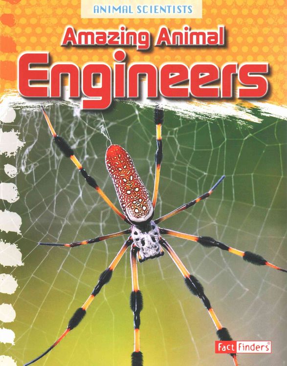 Produktbild: Amazing Animal Engineers