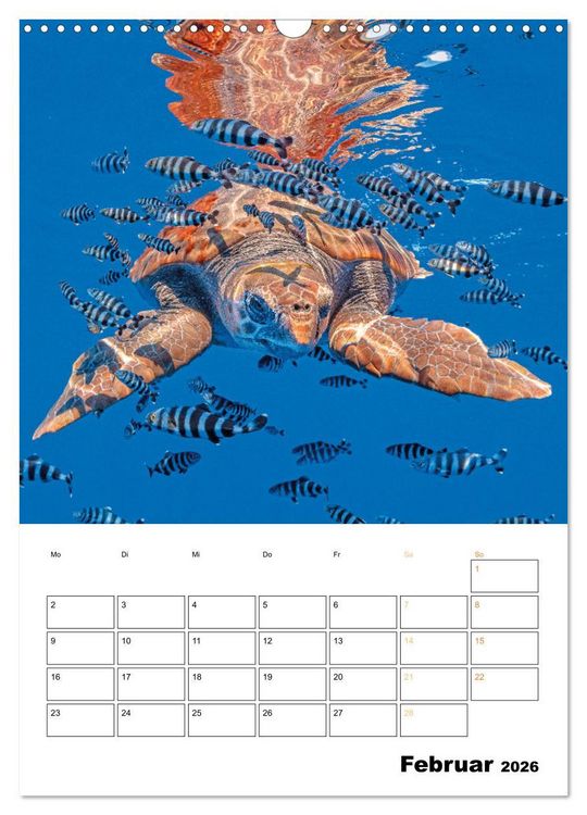 Produktbild: Wunderbare Wasserwelt der Meeresschildkr&ouml;ten (Wandkalender 2026 DIN A3 hoch), CALVENDO Monatskalender