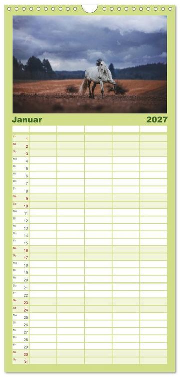 Produktbild: Familienplaner 2027 - Die Faszinierende Welt der Pferde mit 5 Spalten (Wandkalender, 21 x 45 cm) CALVENDO