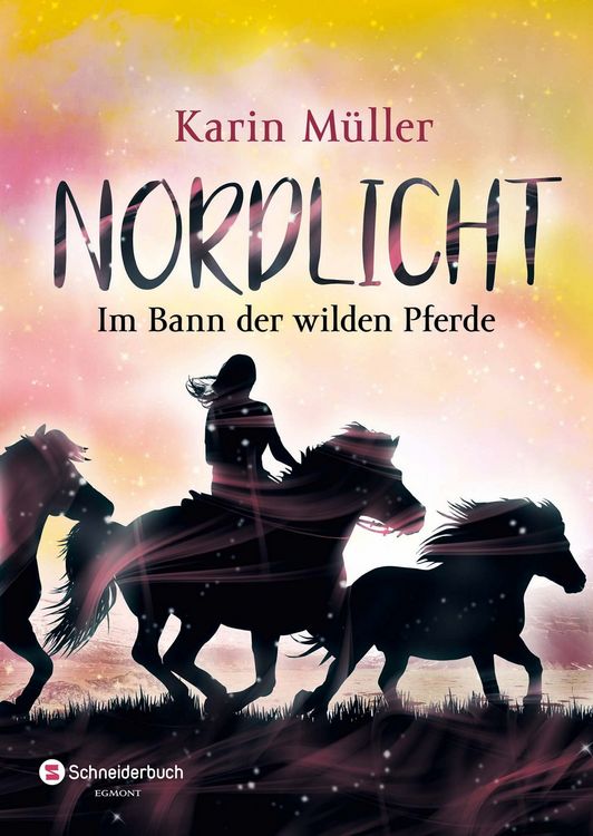Produktbild: Nordlicht, Band 02