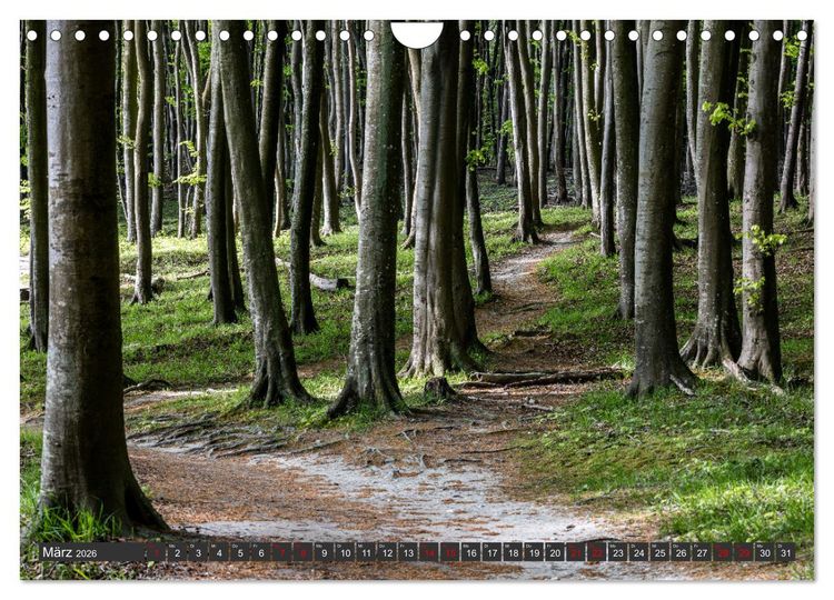 Produktbild: R&uuml;gen - Inseltraumblicke (Wandkalender 2026 DIN A4 quer), CALVENDO Monatskalender