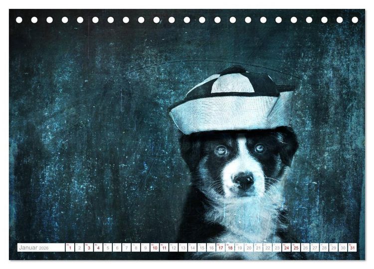 Produktbild: Hund tr&auml;gt Hut (Tischkalender 2026 DIN A5 quer), CALVENDO Monatskalender