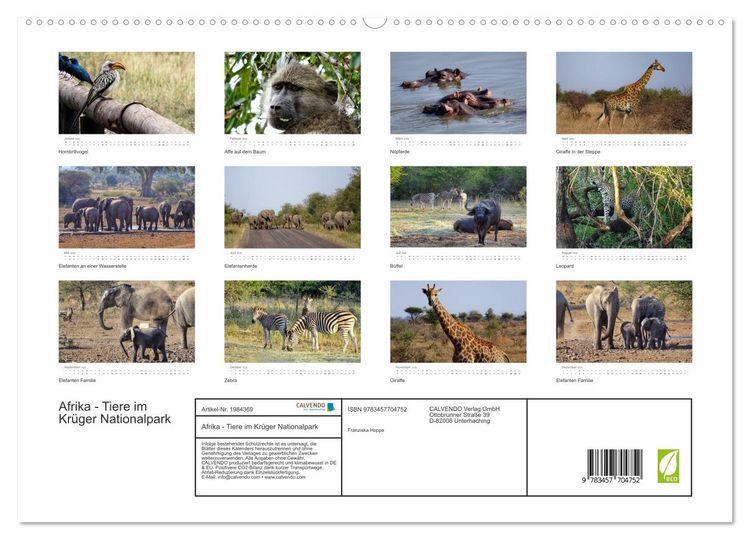Produktbild: Afrika - Tiere im Kr&uuml;ger Nationalpark (hochwertiger Premium Wandkalender 2026 DIN A2 quer), Kunstdruck in Hochglanz