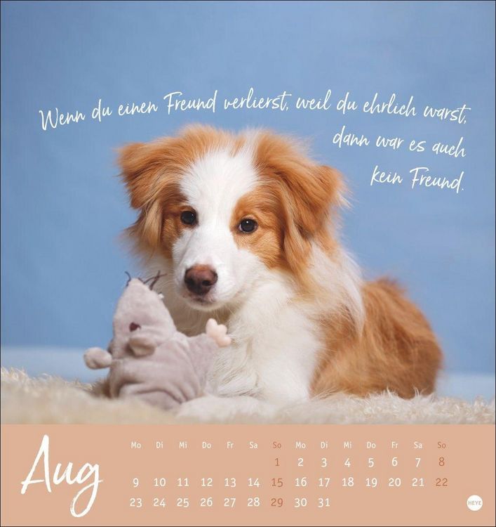 Produktbild: Ziemlich beste Freunde Postkartenkalender 2027 - F&uuml;r immer dein