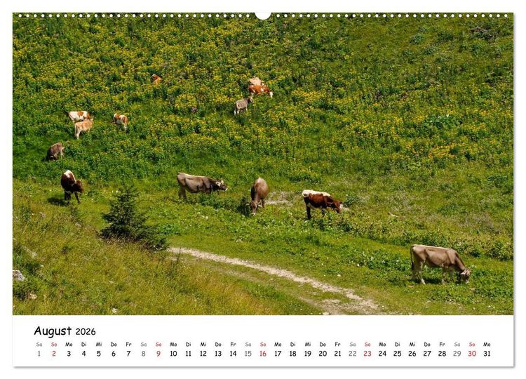 Produktbild: Unterwegs im Allg&auml;u (Wandkalender 2026 DIN A2 quer), CALVENDO Monatskalender