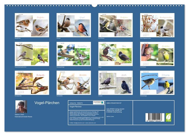 Produktbild: Vogel-P&auml;rchen (hochwertiger Premium Wandkalender 2026 DIN A2 quer), Kunstdruck in Hochglanz