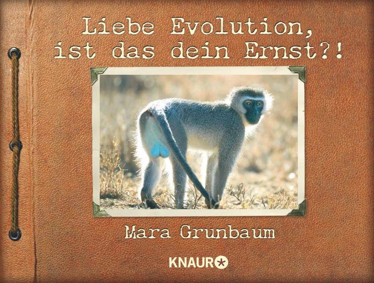 Produktbild: Liebe Evolution, ist das dein Ernst?!