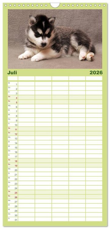 Produktbild: Familienplaner 2026 - Husky Welpen mit 5 Spalten (Wandkalender, 21 x 45 cm) CALVENDO