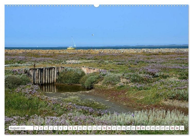 Produktbild: Sommertage auf Langeness (Wandkalender 2026 DIN A2 quer), CALVENDO Monatskalender