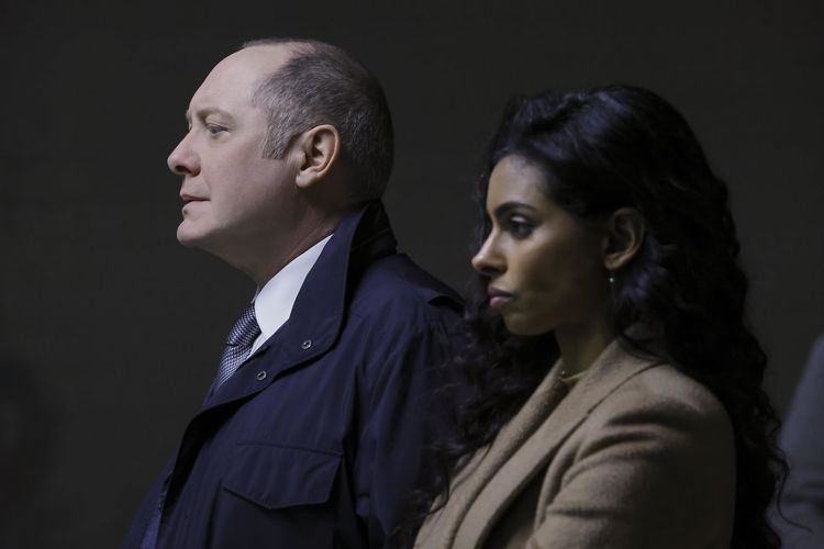 The Blacklist - Die komplette achte Season [6 DVDs]