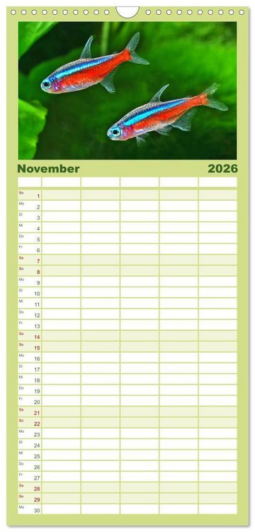 Produktbild: Familienplaner 2026 - Beliebte Fische der Welt mit 5 Spalten (Wandkalender, 21 x 45 cm) CALVENDO