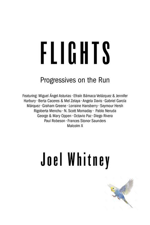 Produktbild: Flights