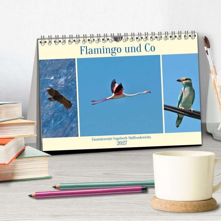 Produktbild: Flamingo und Co - Faszinierende Vogelwelt S&uuml;dfrankreichs (Tischkalender 2027 DIN A5 quer), CALVENDO Monatskalender
