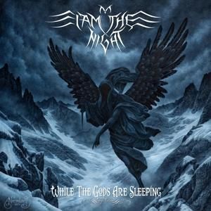 Produktbild: While The Gods Are Sleeping