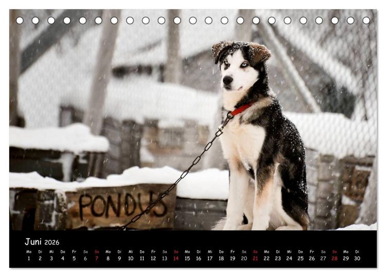 Produktbild: Norwegen (Tischkalender 2026 DIN A5 quer), CALVENDO Monatskalender