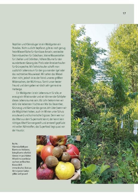 Produktbild: Dein Weg zum essbaren Waldgarten