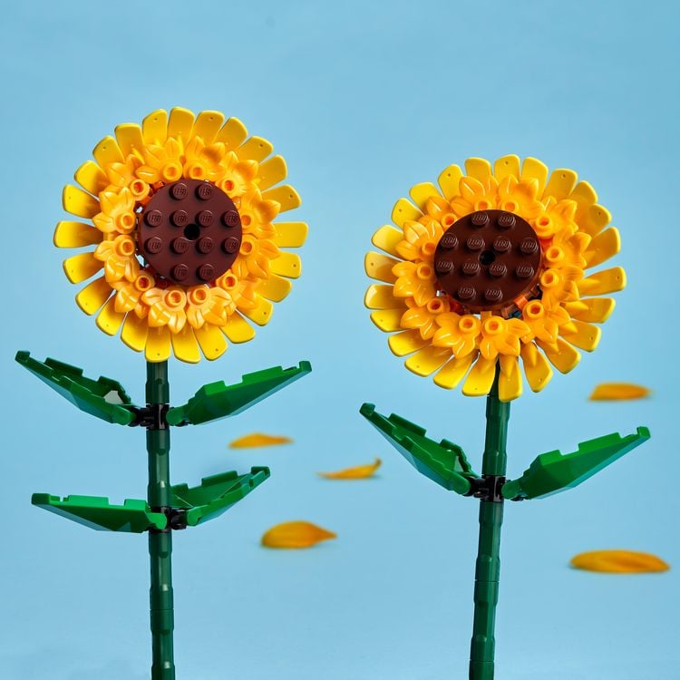 Produktbild: LEGO Botanicals Sonnenblumen - Set mit Kustblumen - Zimmer-Deko 40524