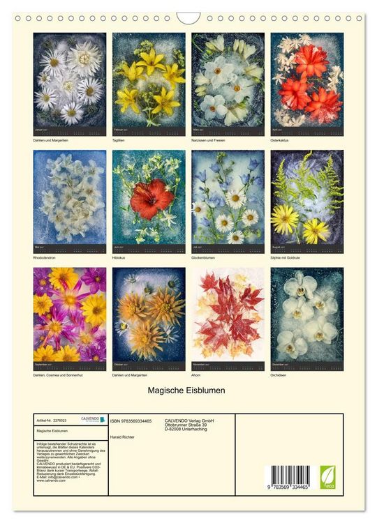 Produktbild: Magische Eisblumen (Wandkalender 2027 DIN A3 hoch), CALVENDO Monatskalender