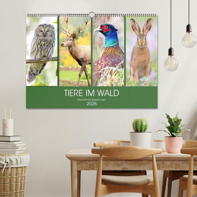 Produktbild: Tiere im Wald. Bezaubernde Begegnungen (Wandkalender 2026 DIN A2 quer), CALVENDO Monatskalender