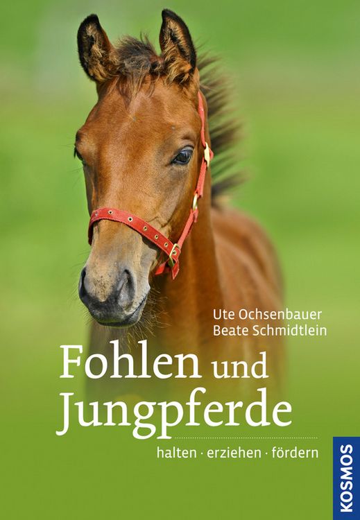 Produktbild: Fohlen und Jungpferde