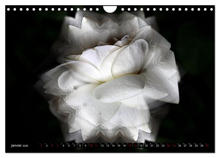 Produktbild: Bouquet d'un jour, bouquet pour toujours (Calendrier mural 2026 DIN A4 vertical), CALVENDO calendrier mensuel