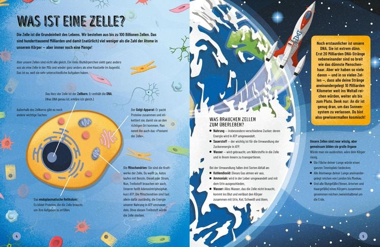 Produktbild: Eine kurze Geschichte des menschlichen K&ouml;rpers - Eine atemberaubende Reise von der Nasenspitze bis zum gro&szlig;en Zeh