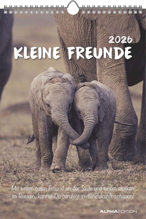 Bild vom Artikel Kleine Freunde 2026 - Bildkalender 23,7x34 cm - Kalender mit Platz für Notizen - mit vielen Zusatzinformationen - Wandkalender - Alpha Edition vom Autor Alpha Edition