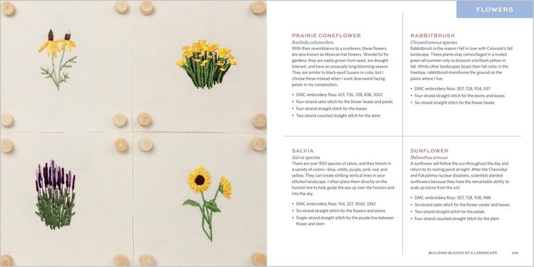 Produktbild: The Stitched Landscape
