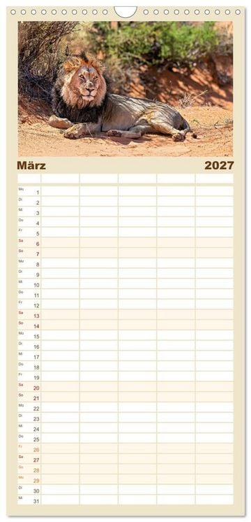 Produktbild: Familienplaner 2027 - Namibias faszinierende Tierwelt mit 5 Spalten (Wandkalender, 21 x 45 cm) CALVENDO