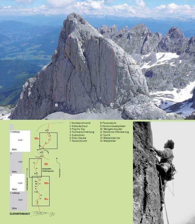 Produktbild: Hochk&ouml;nig