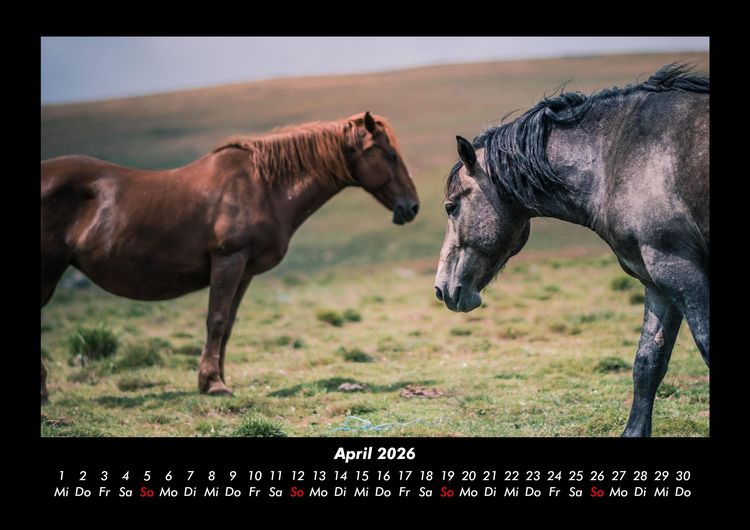 Produktbild: Tiere auf dem Bauernhof 2026 Fotokalender DIN A3