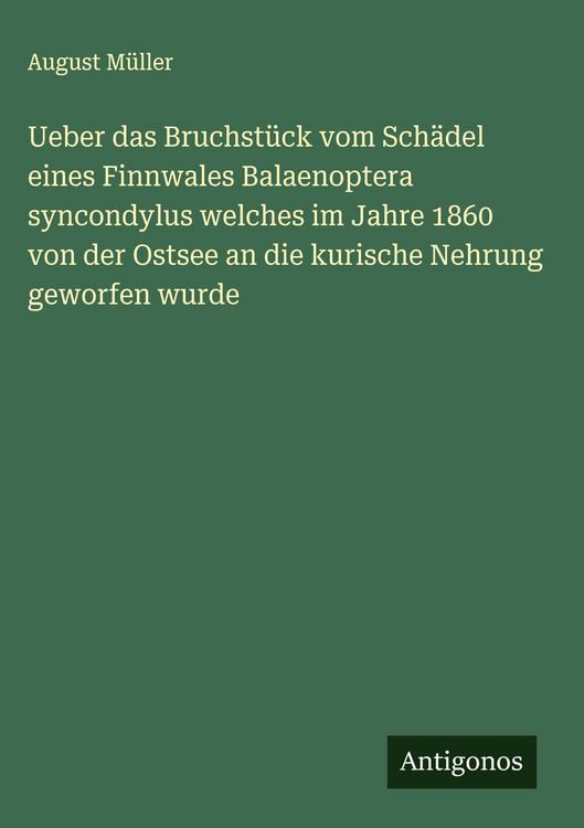 Produktbild: Ueber das Bruchst&uuml;ck vom Sch&auml;del eines Finnwales Balaenoptera syncondylus welches im Jahre 1860 von der Ostsee an die kurische Nehrung geworfen wurde