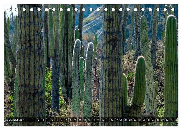 Produktbild: Naturwelt Mittelamerika (Tischkalender 2027 DIN A5 quer), CALVENDO Monatskalender