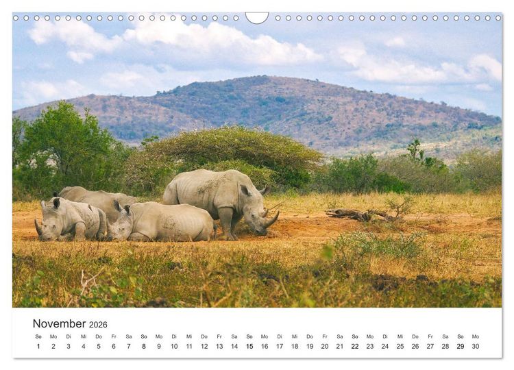 Produktbild: Safari durch Afrika (Wandkalender 2026 DIN A3 quer), CALVENDO Monatskalender