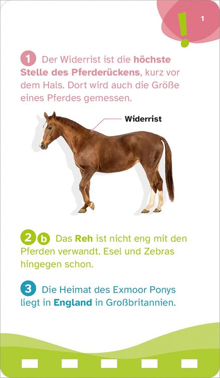 Produktbild: WAS IST WAS Quiz Pferde