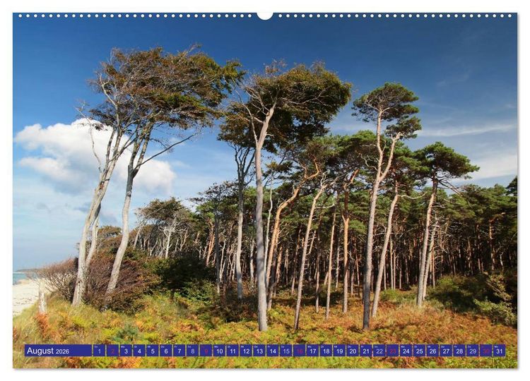 Produktbild: Weststrand Dar&szlig; (hochwertiger Premium Wandkalender 2026 DIN A2 quer), Kunstdruck in Hochglanz
